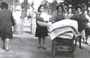 tarihsel-gercekler-ve-kibrisrum-sagi